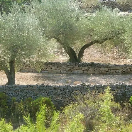 Villa Casa Almendra El Perelló Esterno foto