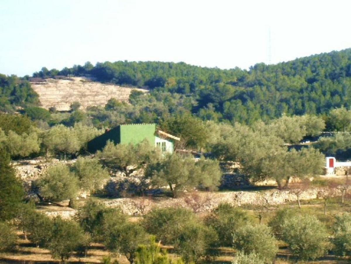 Casa Almendra Dom wakacyjny El Perelló