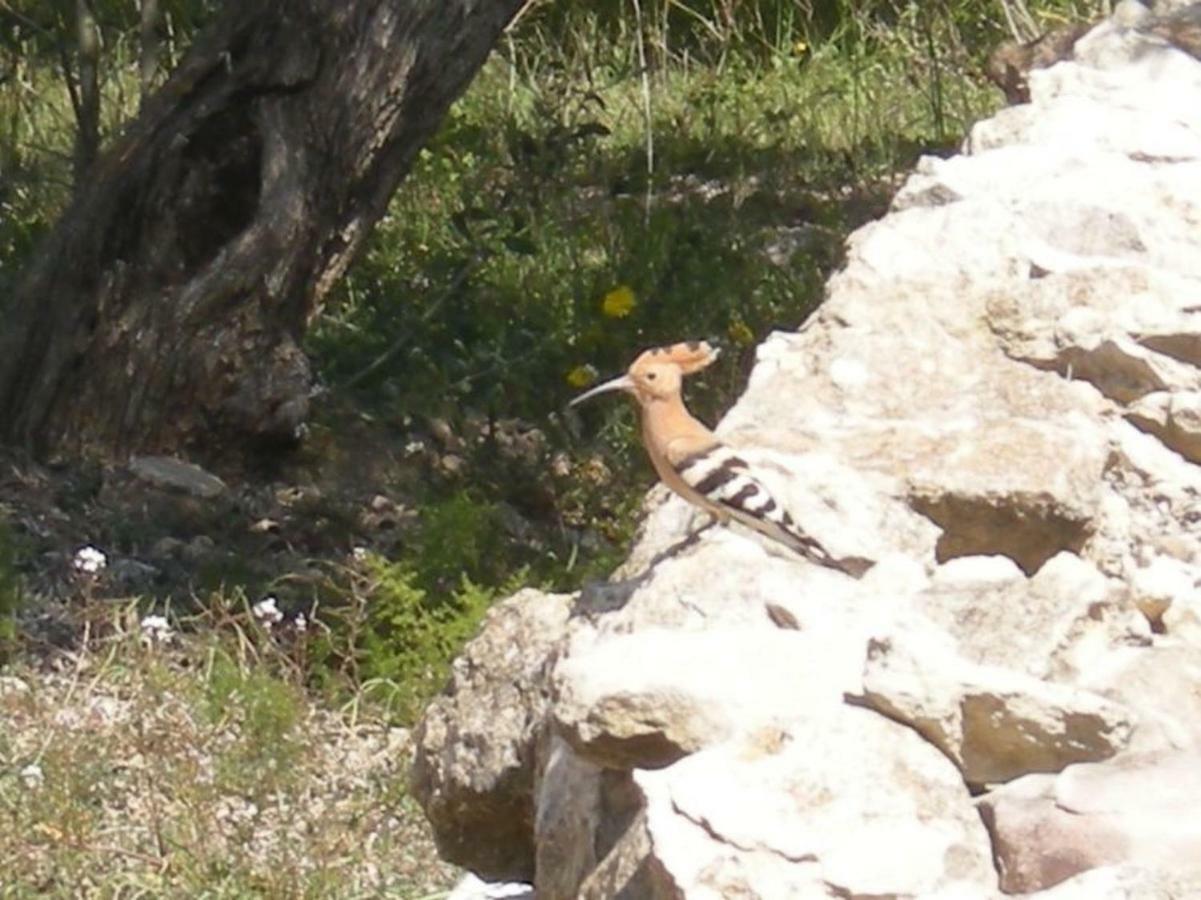 Hébergement de vacances Casa Almendra